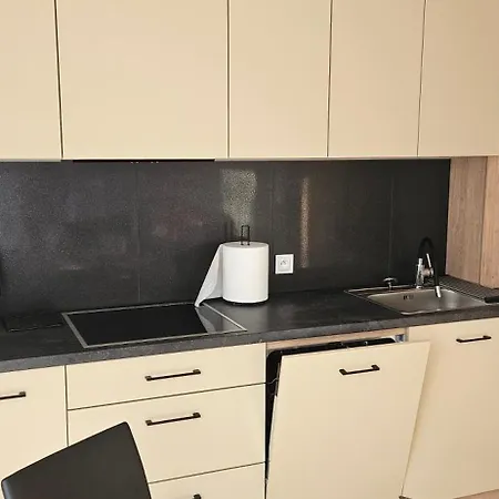 Apartment W Sercu Sosnowki