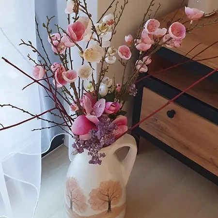 W Sercu Sosnowki * Sosnówka