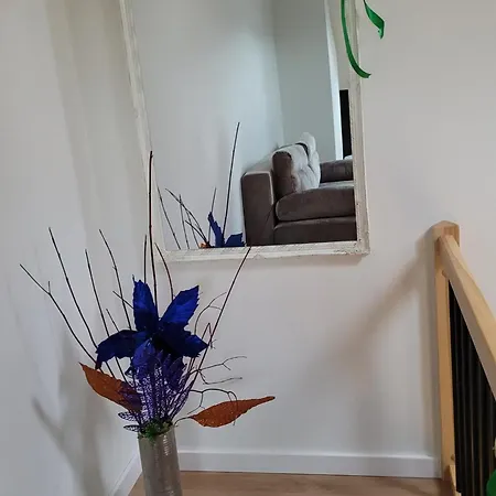 Appartement W Sercu Sosnowki *