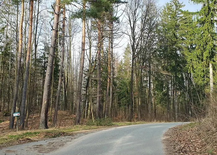 W Sercu Sosnowki * Sosnówka