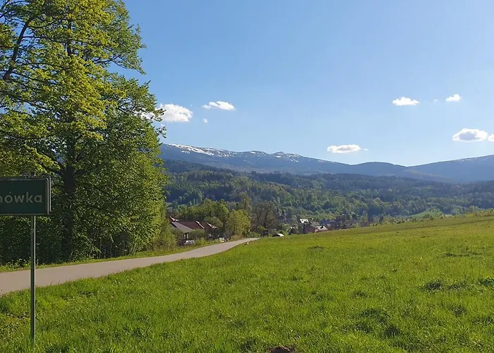 W Sercu Sosnowki Sosnówka