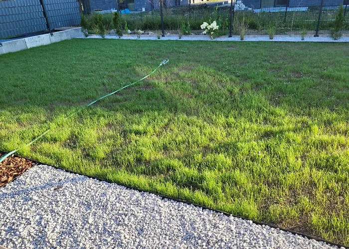 W Sercu Sosnowki Lejlighed Sosnówka